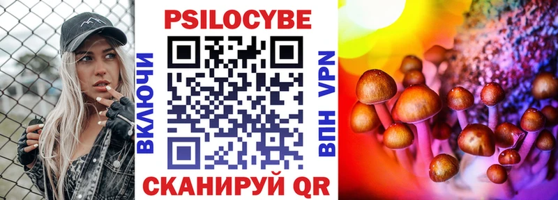 Псилоцибиновые грибы MAGIC MUSHROOMS  закладки  гидра ссылки  Завитинск 